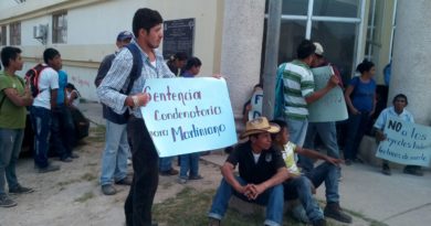 Un retoño en la lucha por la justicia Un retoño en la lucha por la justicia