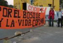 Ante la posible amenaza del control militar en la montaña sagrada de la comunidad indígena de Montaña Verde, justificado en lo que creemos el impulso del supuesto control ambiental del proyecto REDD+ Ante la posible amenaza del control militar en la montaña sagrada de la comunidad indígena de Montaña Verde, justificado en lo que creemos el impulso del supuesto control ambiental del proyecto REDD+