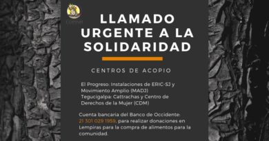 Llamado Urgente a la solidaridad activa. Llamado Urgente a la solidaridad activa.