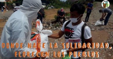 Donde nace la solidaridad, florecen los pueblos 🌱✊🏾 Donde nace la solidaridad, florecen los pueblos 🌱✊🏾
