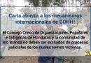 Carta abierta a los mecanismos internacionales de DDHH: