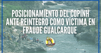 Posicionamiento del COPINH ante reintegro como víctima en caso Fraude sobre el Gualcarque Posicionamiento del COPINH ante reintegro como víctima en caso Fraude sobre el Gualcarque