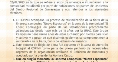 Aclaración Pública: Grupo organizado en el COPINH no tiene vinculación con amenazas denunciadas por la UNAG.