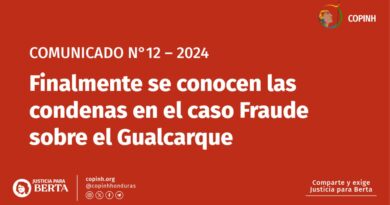 Comunicado: Finalmente se conocen las condenas en el caso “Fraude sobre el Gualcarque”