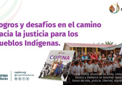 Logros y desafíos en el camino hacia la justicia para los Pueblos Indígenas.