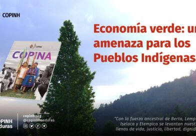 Economía verde: una amenaza para los Pueblos Indígenas. 