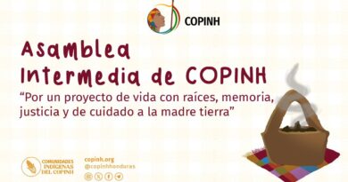 Asamblea Intermedia de COPINH – VIDEO