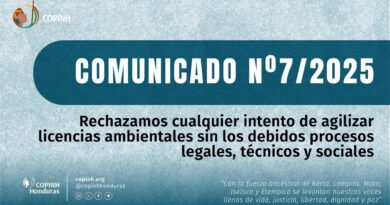 COMUNICADO N°7/2025 – Rechazamos cualquier intento de agilizar licencias ambientales sin los debidos procesos legales, técnicos y sociales.