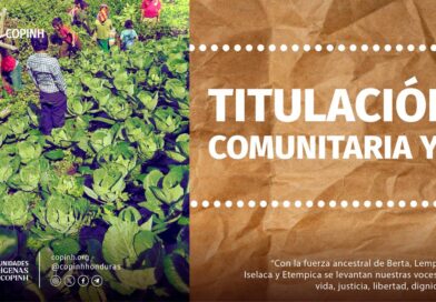 Exigimos la titulación comunitaria de los territorios indígenas