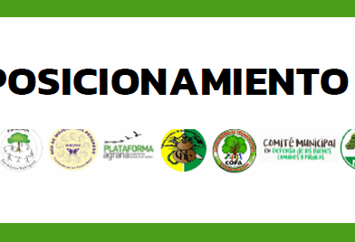 POSICIONAMIENTO