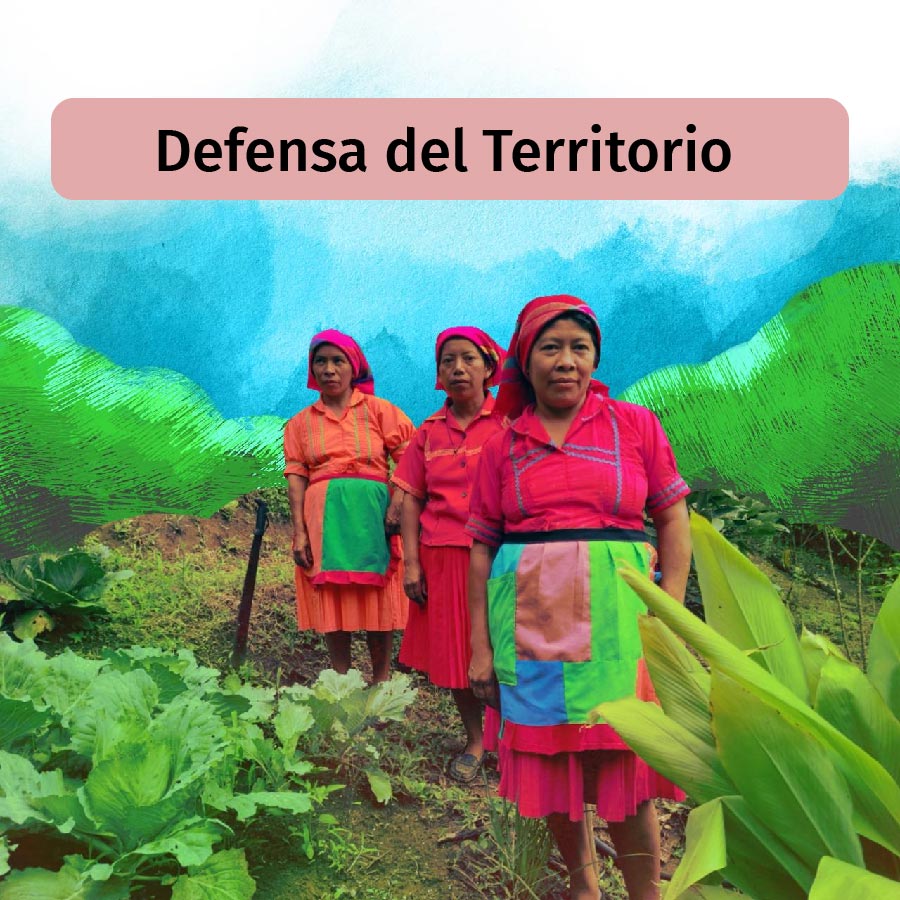 Defensa del Territorio