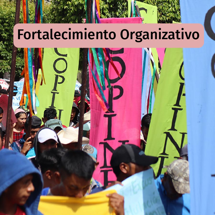 Fortalecimiento Organizativo