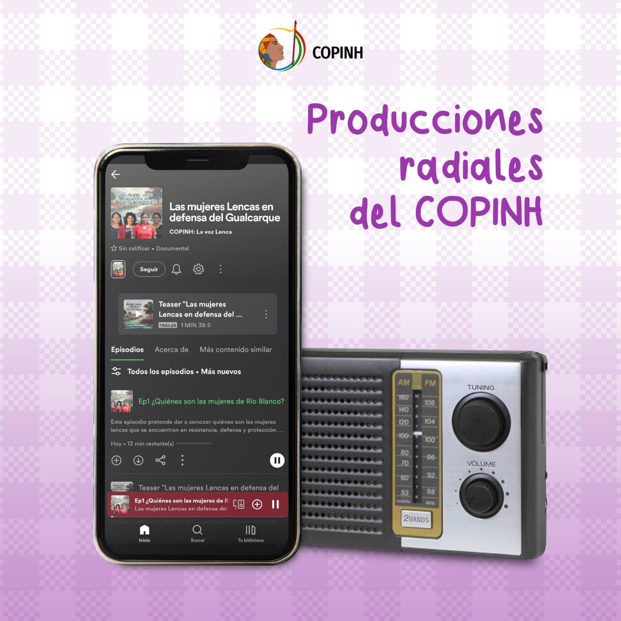 Producciones Radiales