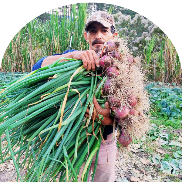 Gestión y autogestión