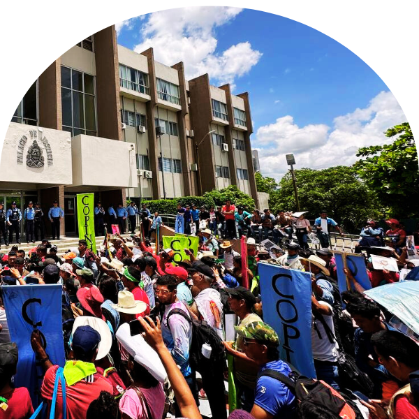 Lucha por la Justicia