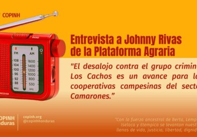 Entrevista a Johnny Rivas de la Plataforma Agraria.