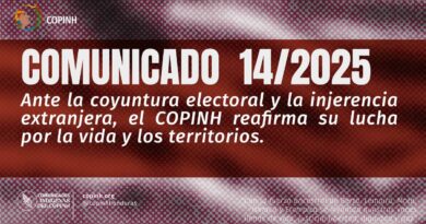 Comunicado 14/25 Ante la coyuntura electoral y la injerencia extranjera, el COPINH reafirma su lucha por la vida y los territorios.