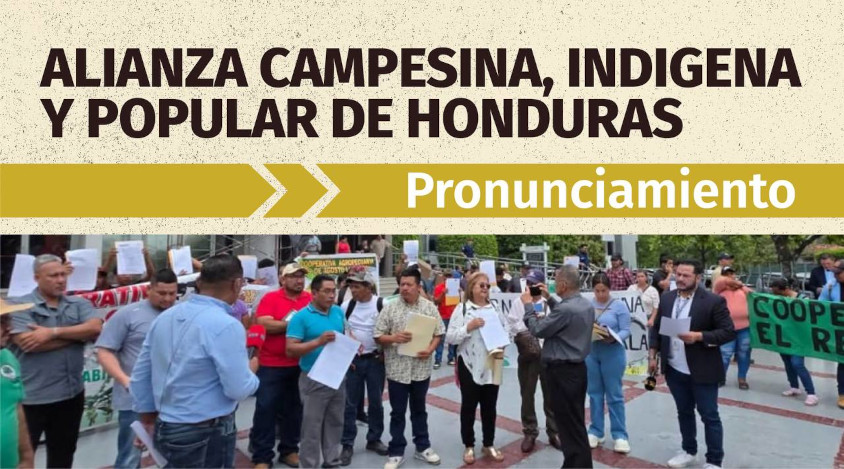 PRONUNCIAMIENTO: ALIANZA CAMPESINA, INDÍGENA Y POPULAR DE HONDURAS.