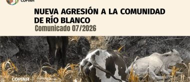 Comunicado 7/26: NUEVA AGRESIÓN A LA COMUNIDAD DE RÍO BLANCO